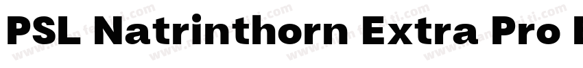 PSL Natrinthorn Extra Pro Bold Ital字体转换